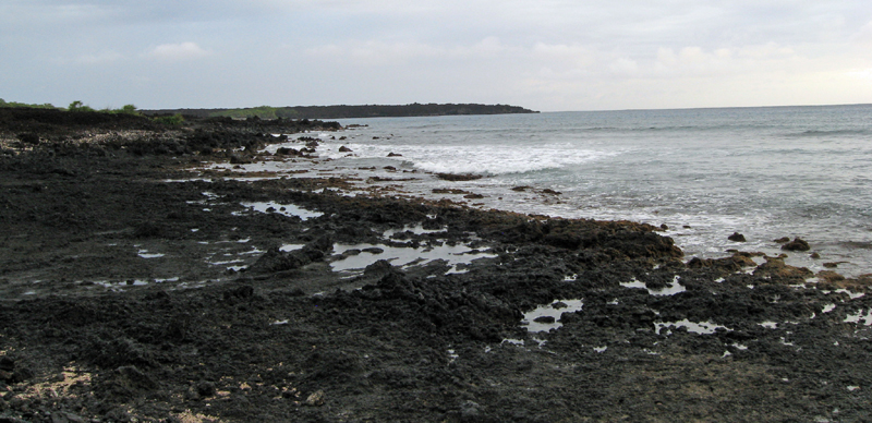 IMG_0865_LaPerouse