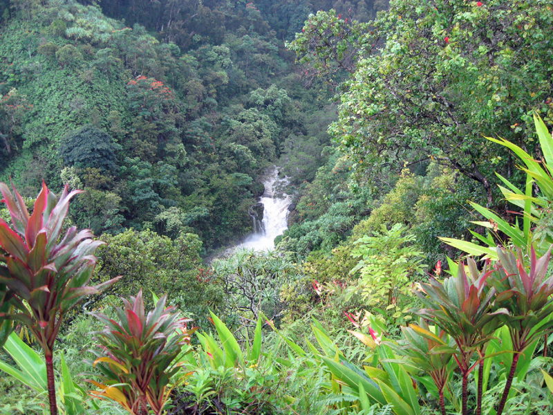 IMG_0887_Puohokamoa