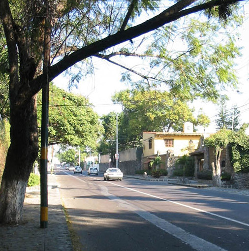 40 Calle Palmira