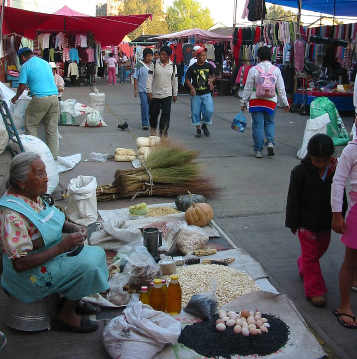 60 Tepoztlan weekly market