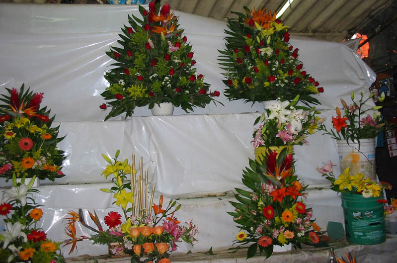 89 Main market flowers