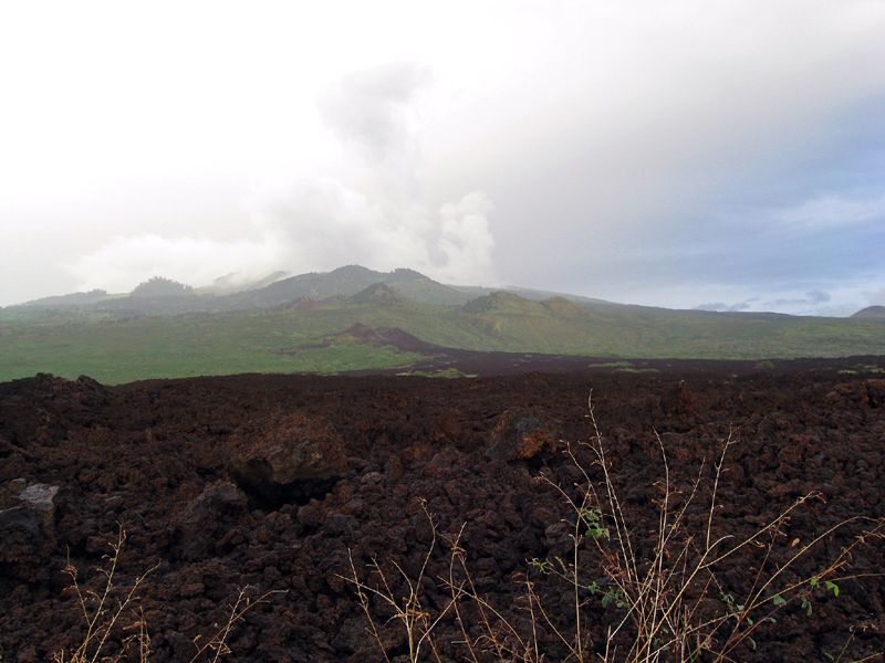 IMG_0868_Ahihi-Kinau